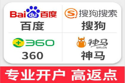 SEM代运营经典案例解析与启示